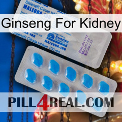 Ginseng For Kidney new15